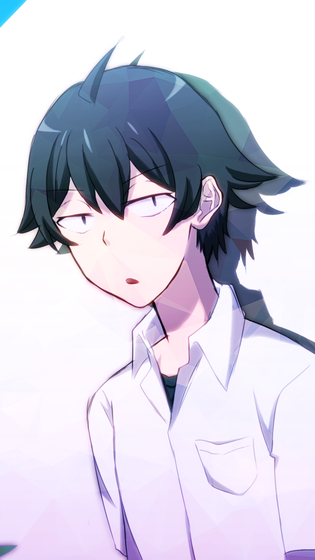 1080x1920  HTTPS: //www.animefanshop.de/en/figures/nendoroids/nendoroid-1794 hachiman-hikigaya-27047.html