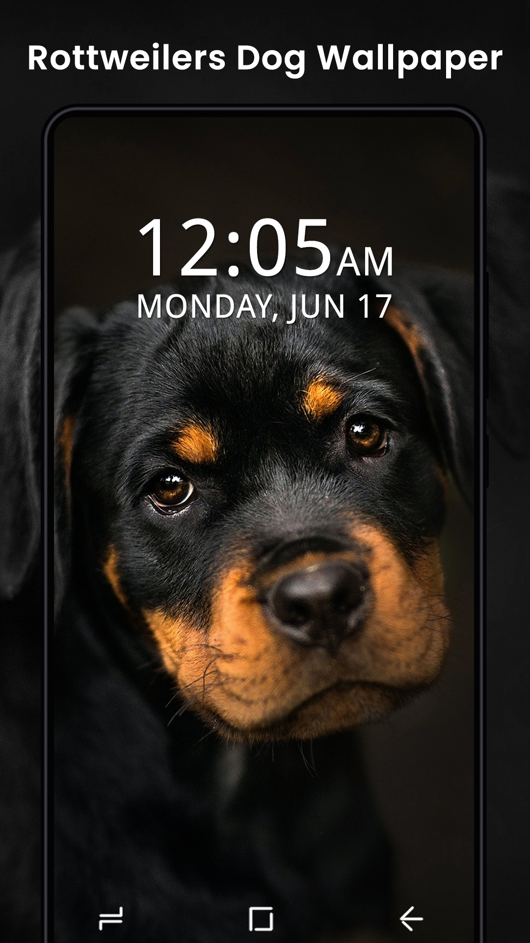 1080x1920 Amazon.com: Обои для рабочего стола Dog Cute Puppy Dog Live Wallpaper: Appstore для Android