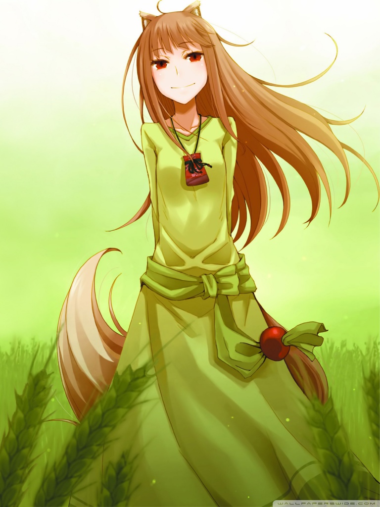 768x1024  4530853 Реалистичный, Холо, Сакимичан, Китсунемми, специи и волк - Редкая галерея HD обои 