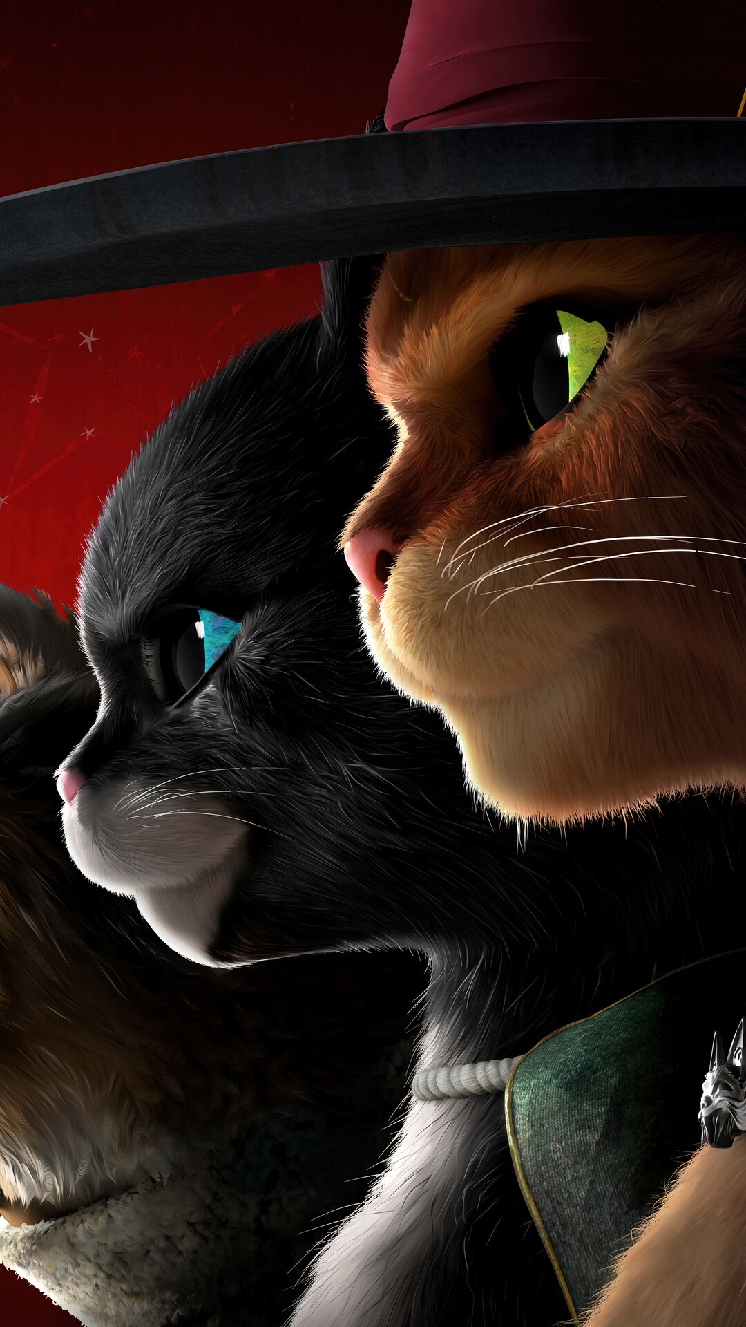 1080x1920  pin de felesfemina em feles, mittens, neko, luna \ u0026 Co. | Gato de Botas Filme, Gatos, O Gato de Botas