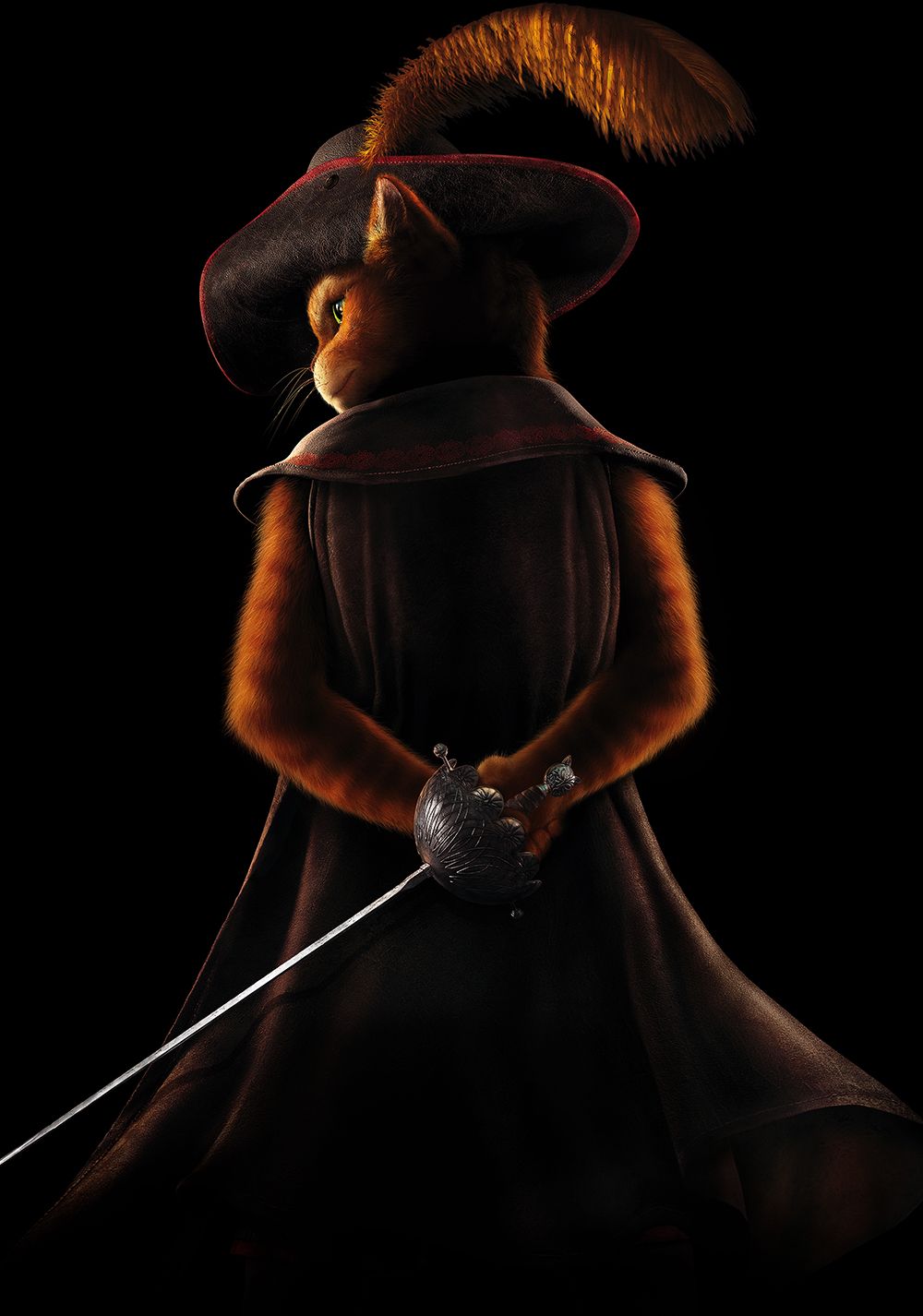 1000x1426   Bear Kitty HD обои | Pxfuel