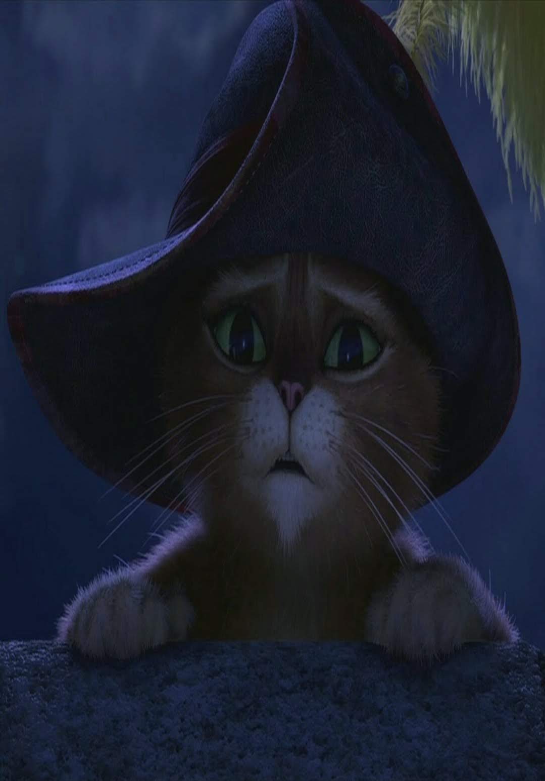 1079x1547  Kitty SoftPaws на Toyhouse