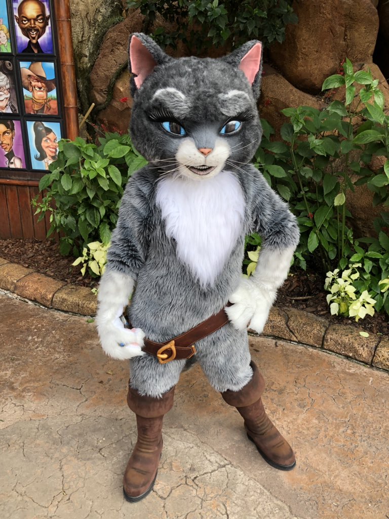 768x1024   Страница 2 | HD Loving Kitty Walpapers | Peakpx