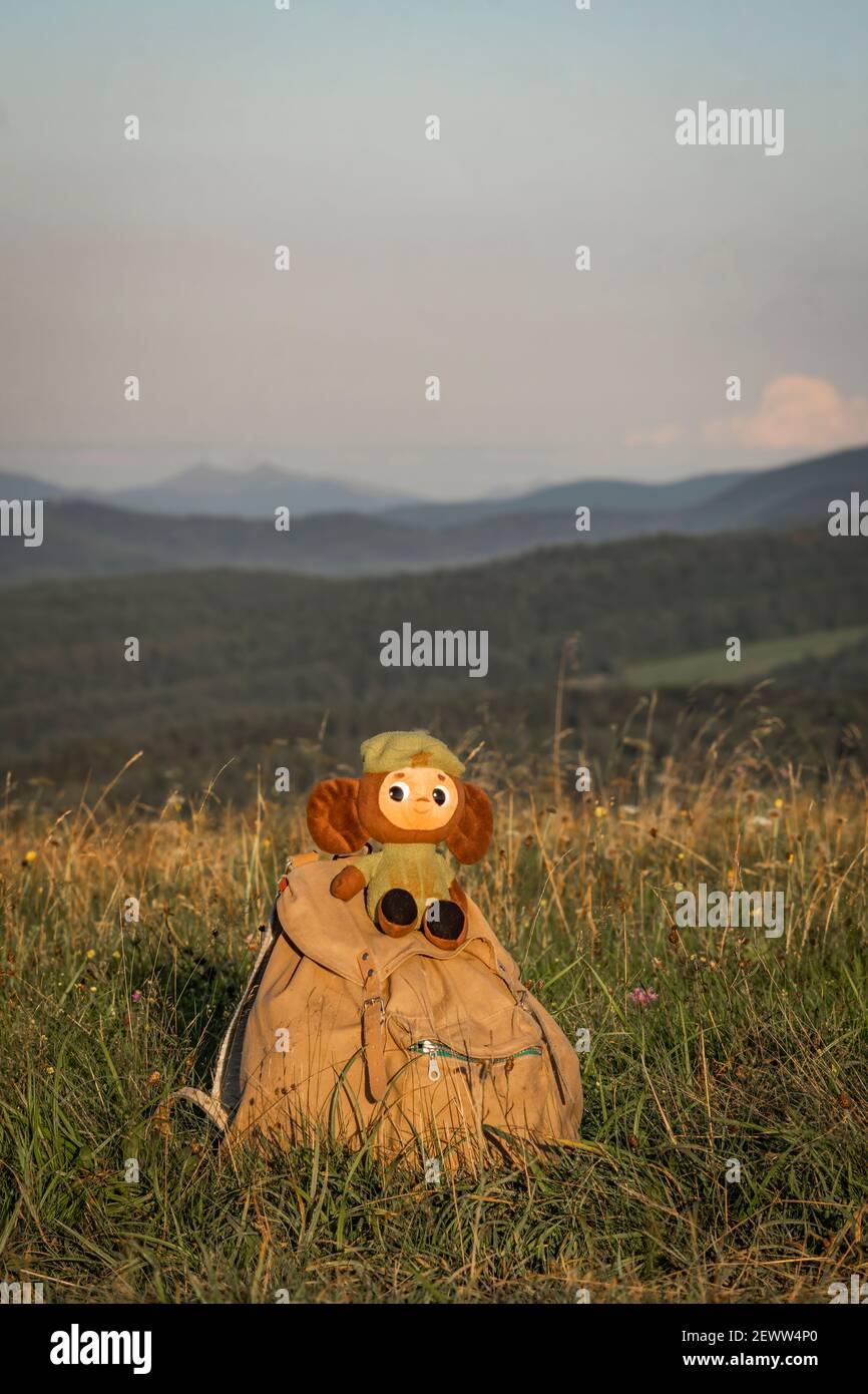 866x1390  crocodile gena 1080p, 2k, 4K, 5K HD обои бесплатно скачать | Обои Flare