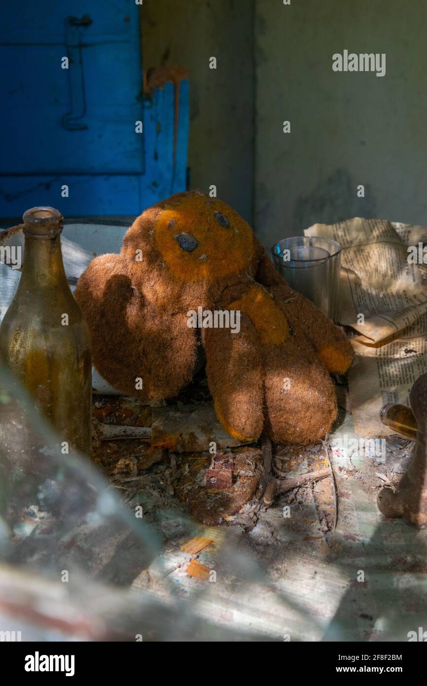 866x1390  ORIG Cheburashka 照片 从 从 从 从 从 从 从 从 从 guinevere16 |照片 图像 图像 