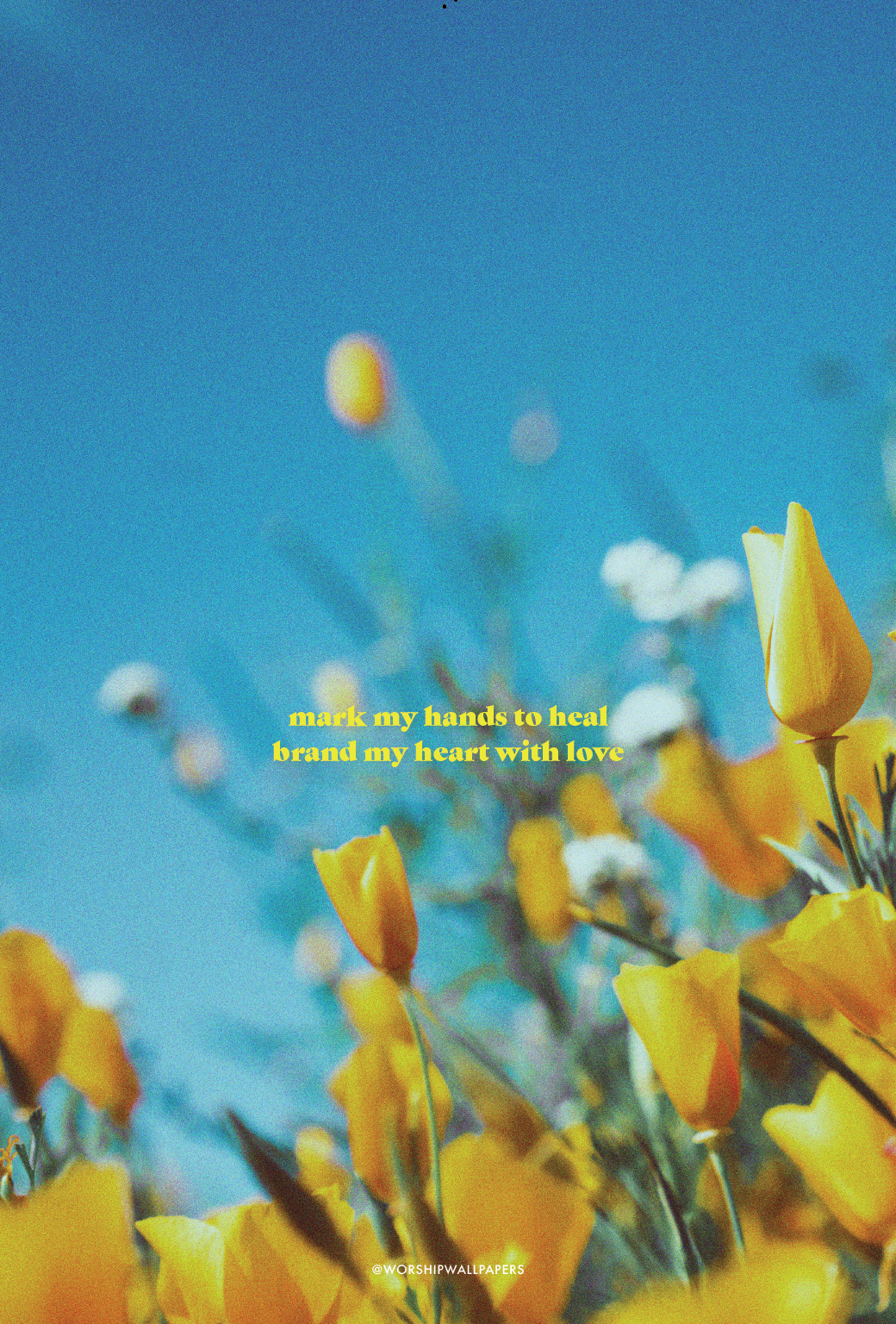 1040x1536  Mark My Hands // Линди Конант и гонщики | ОБОИ ДЛЯ ПОКЛОНЕНИЯ