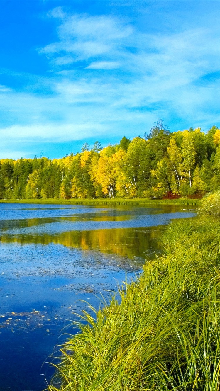 750x1334   Сибириальные изображения - бесплатно скачать на Freepik