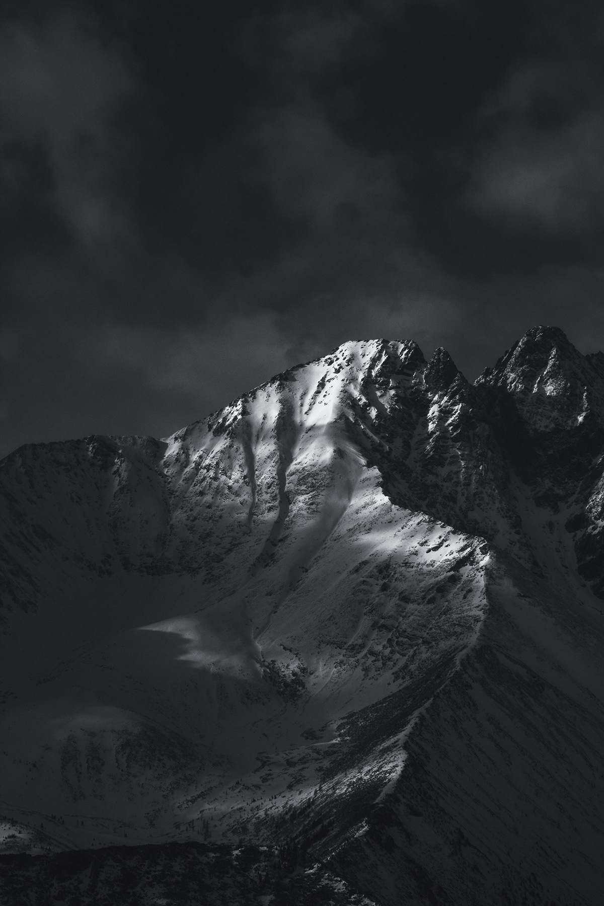 1200x1800  Siberia | 11 Лучшие бесплатные фотографии сибириума, русского, открытого и растения на unsplash