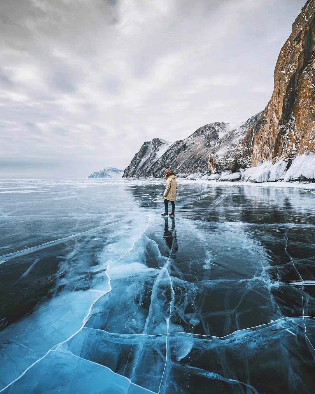 1080x1350   Сибирский тигровый обои 4K Ultra HD ID: 10593 