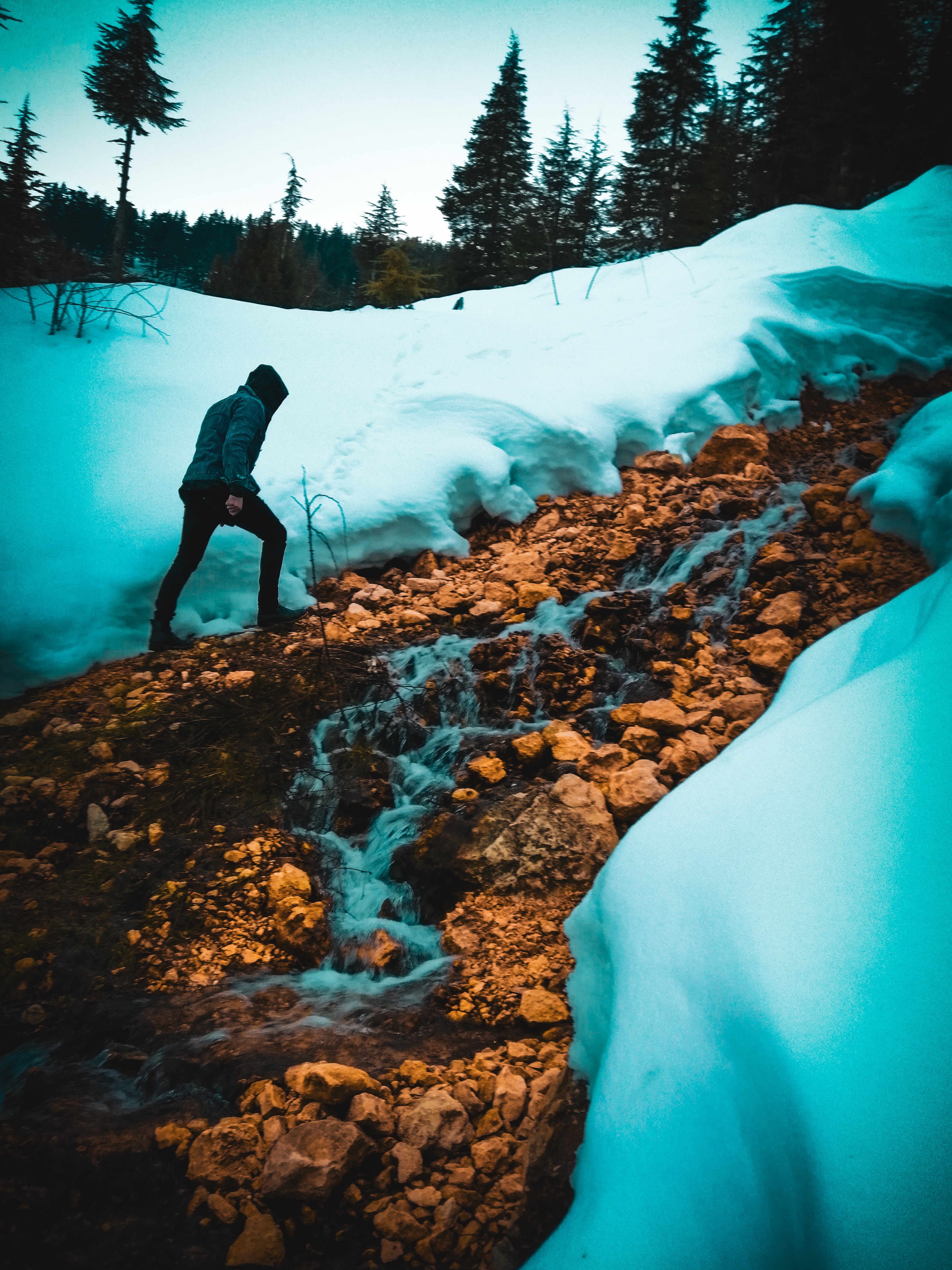 3652x4871  Husky Pup Wallpapers HD: Amazon.co.uk: апстор для Android