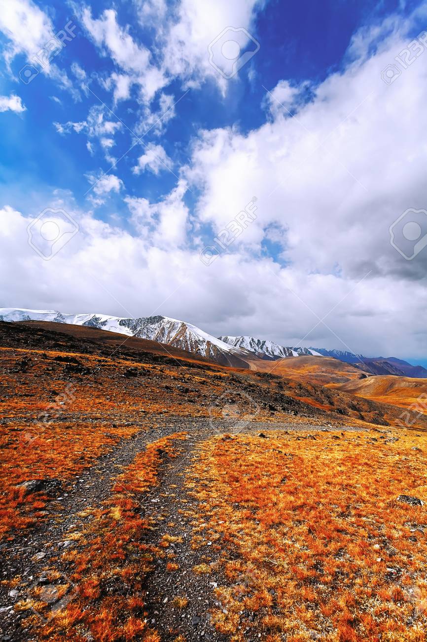 866x1300  photo - Санкт -Петербург Россия - 736x1308 Обои - чайхуб. , снег, зима, HD обои | Peakpx