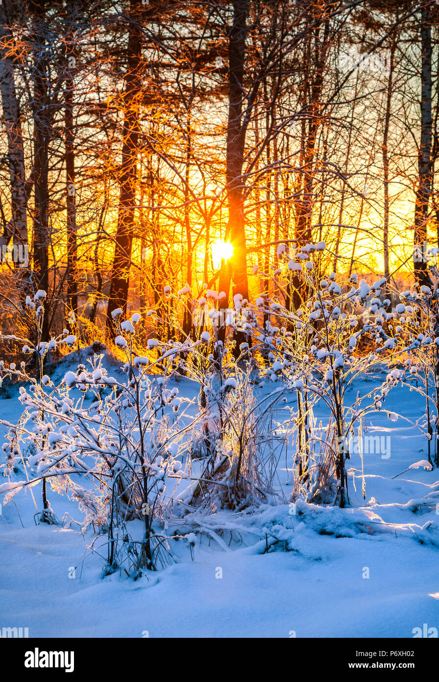 896x1390  mensu Glacier под ногами, Altay, Сибири: фотографии, диаграммы \ u0026 Топос: Summitpost