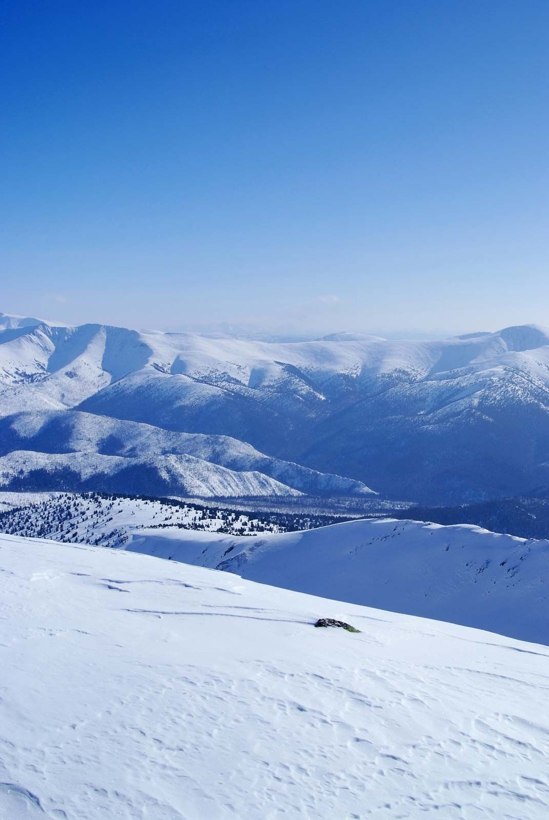 1071x1600  max (@ftwmaxime) / Twitter