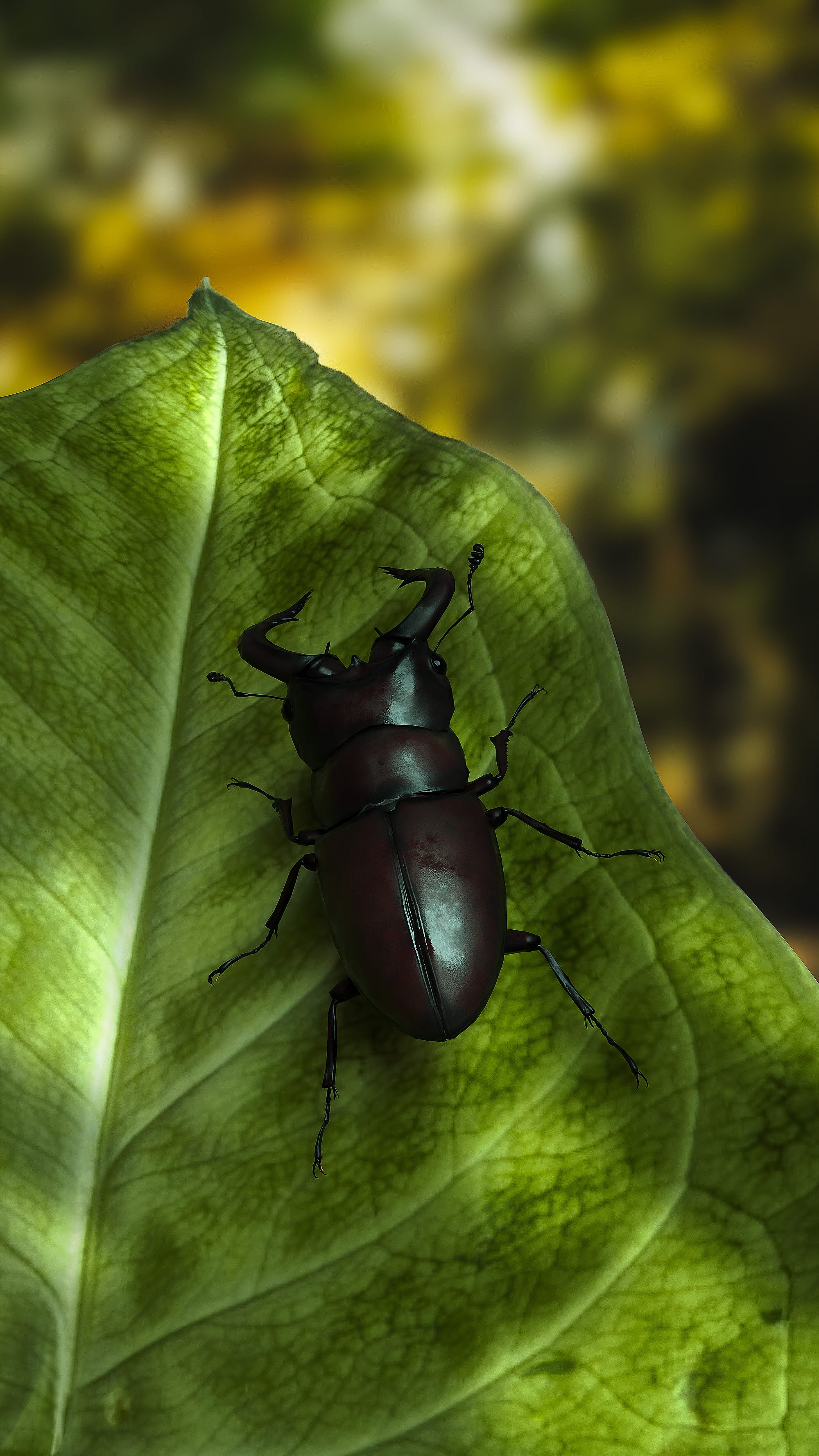 2000x3555  LadyBug на растении HD обои загрузки 