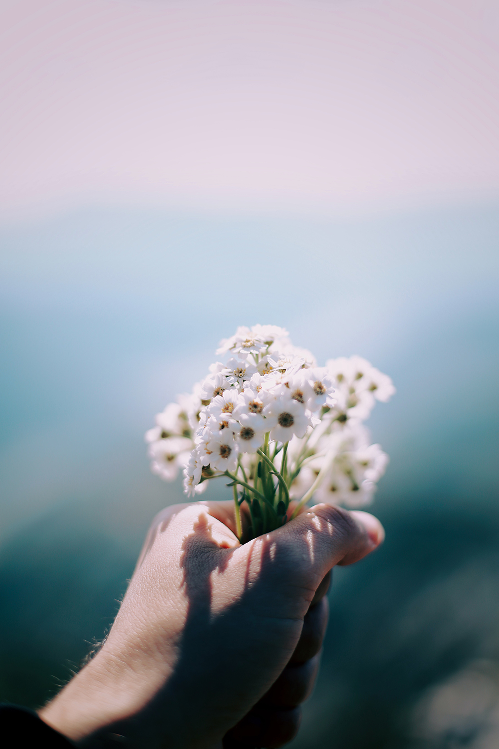 1000x1500   Красивые обои для мобильных - Цветы в руках - Классные фоны