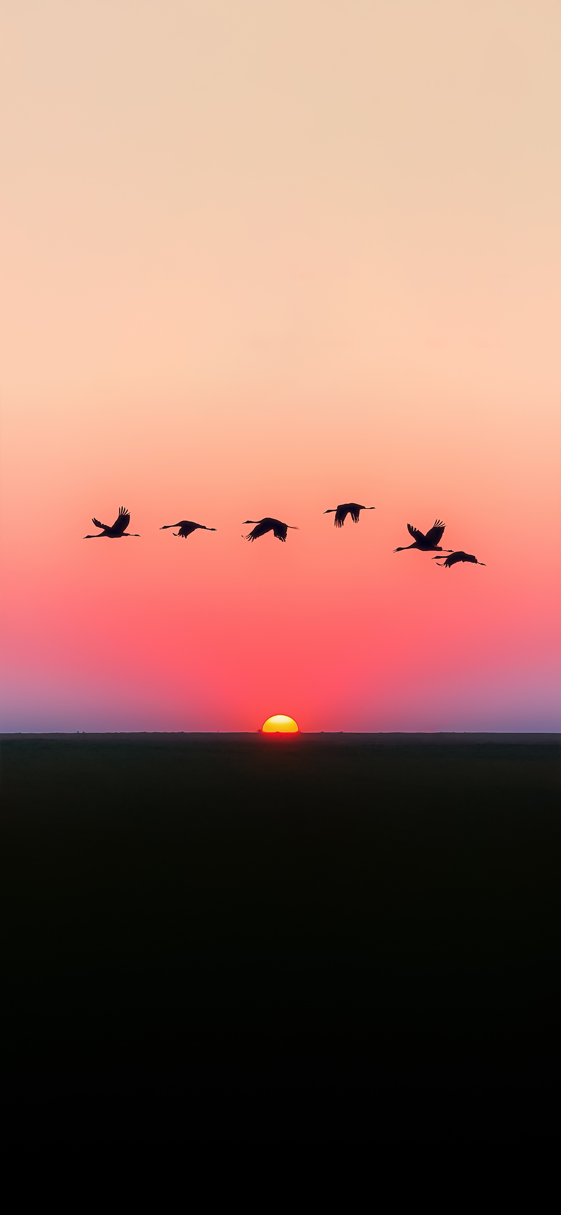 1125x2436  download \ "Зима \" Обои для мобильного телефона, бесплатно \ "Зима \" HD Pictures 