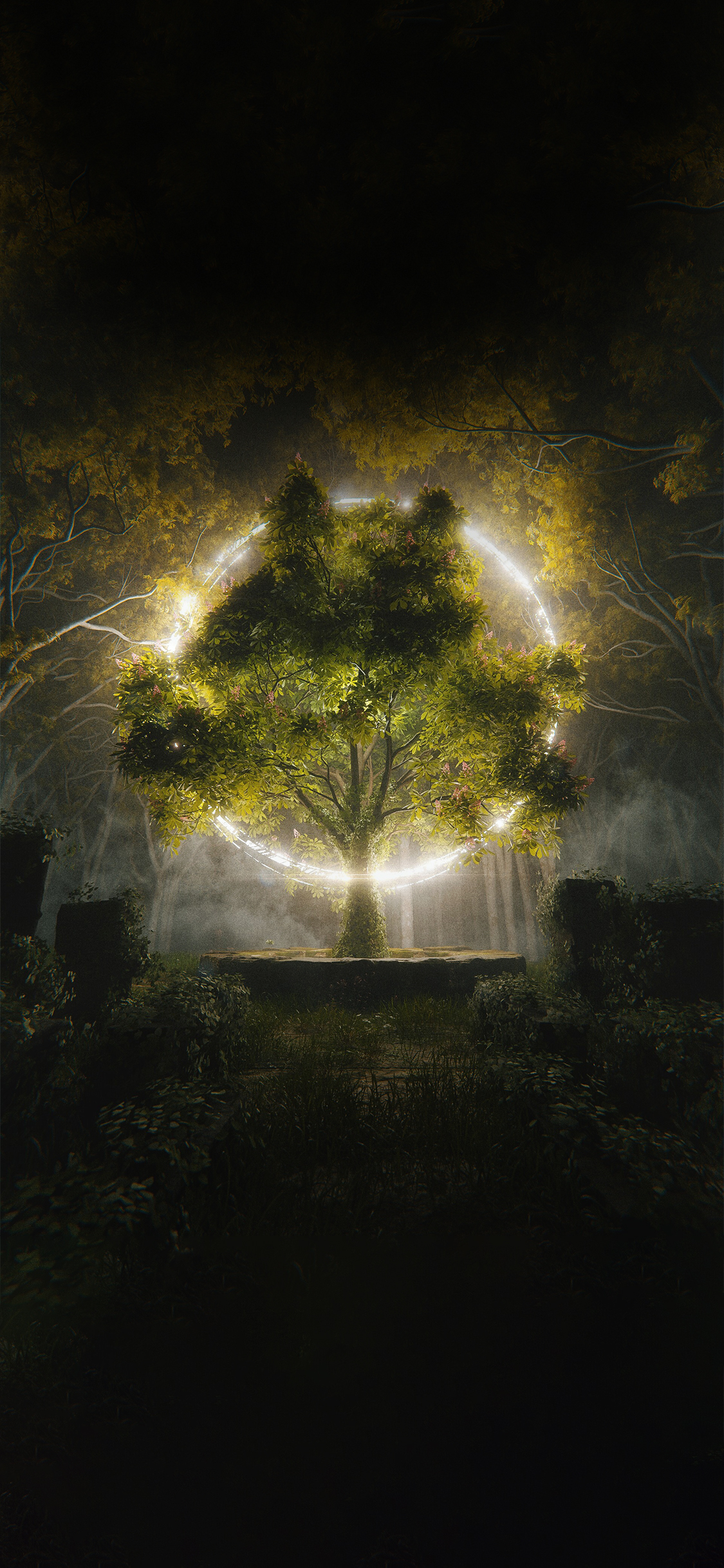 1125x2436  aestetic Beach Kolpaper Awesome Free HD iPhone Обои бесплатно скачать 