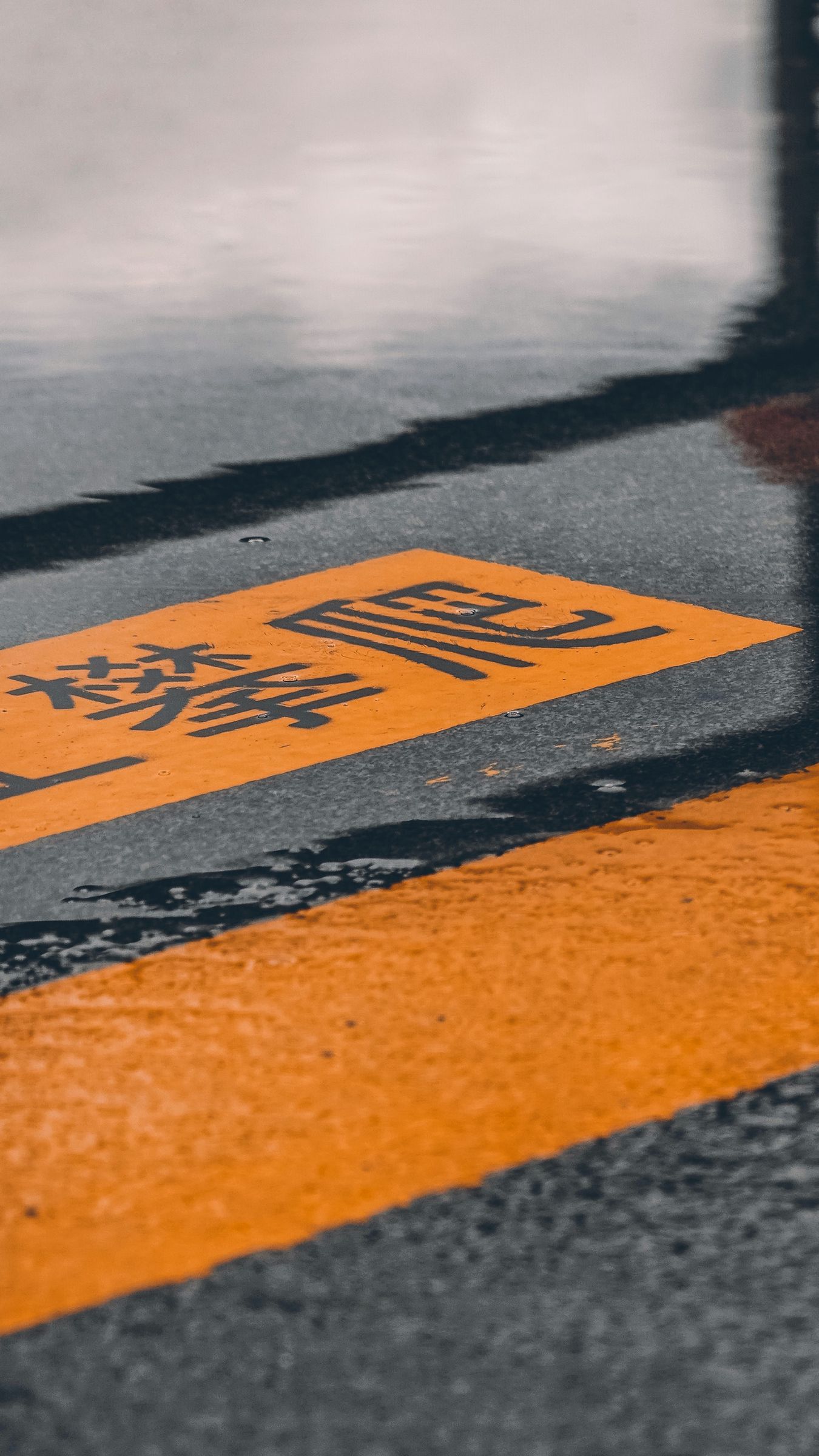 1350x2400  HD обои: дорога, деревья, влажный, тротуар, асфальт, трещина, переулка, леса, общедоступные изображения | Обои Flare