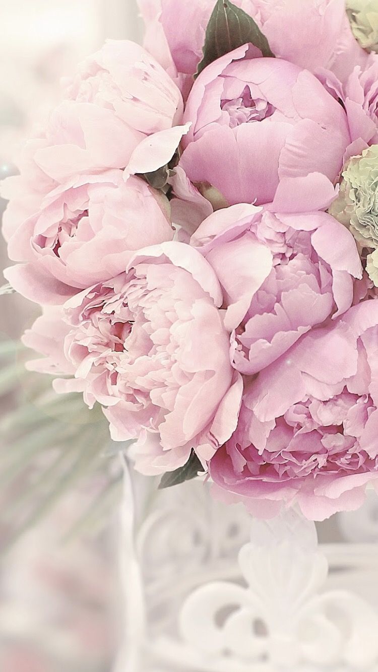 750x1334  page 6 | Madonna HD обои | PXFUEL 