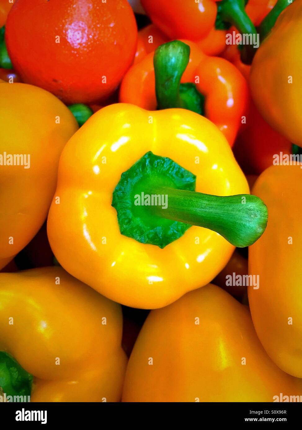 974x1390  Временно не работает: Крымская натуральная косметика, магазин парфюмерии и  косметики, Республика Крым, Феодосия, Земская улица, 2 — Яндекс Карты