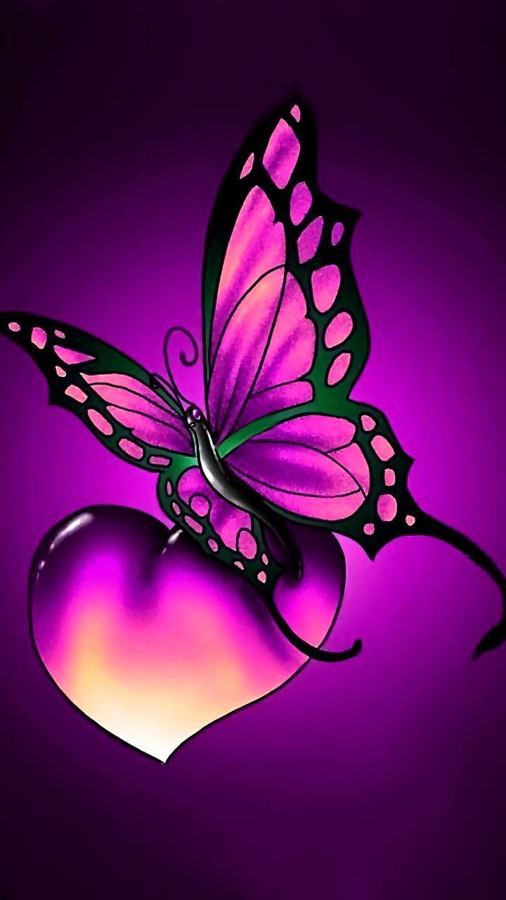 Красивые бабочки и сердечки