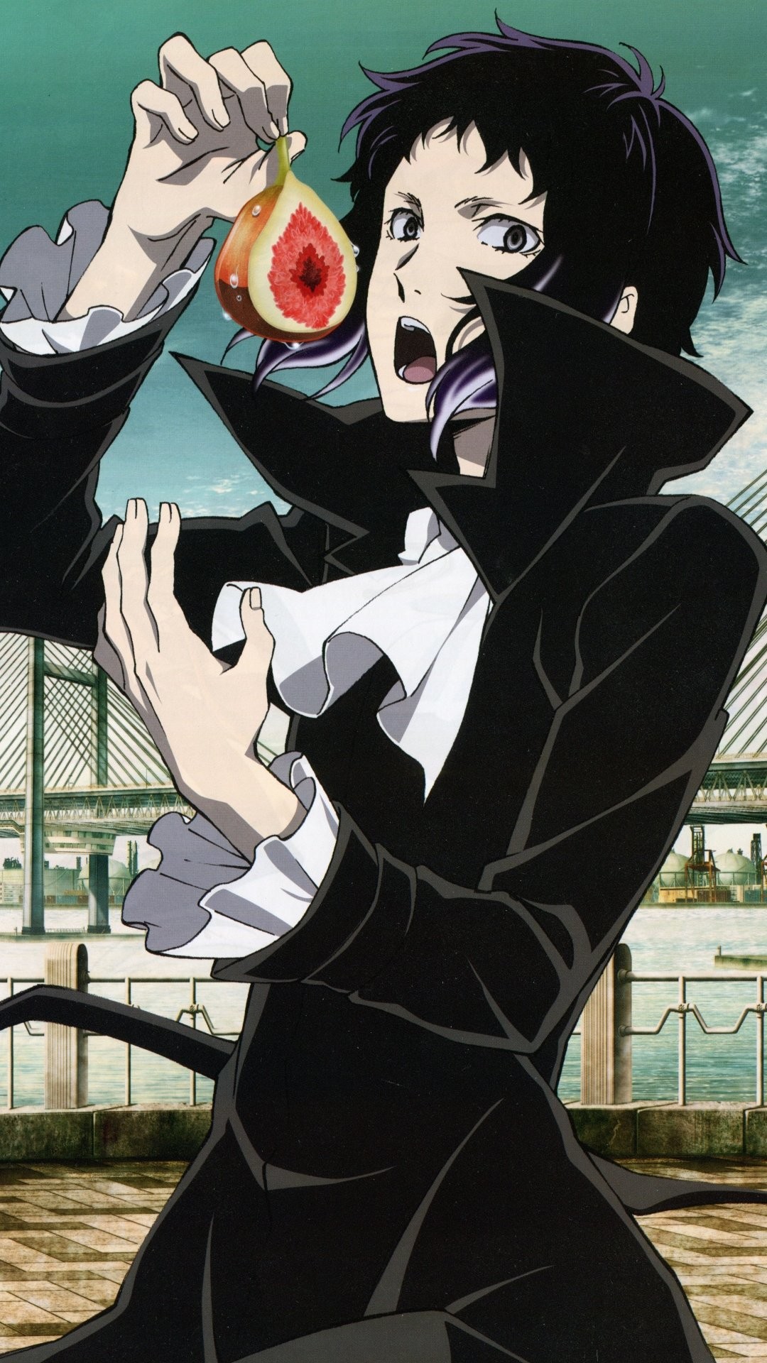 1080x1920  Bungo Wray Dogs Wallpapers (62+ картин) 