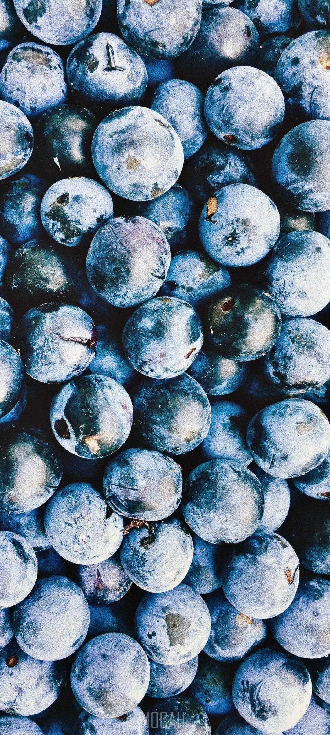 1080x2400  blueberry HD обои для рабочего стола и мобильных телефонов iPhone 6 / 6s Plus - HD обои - обои .NET 