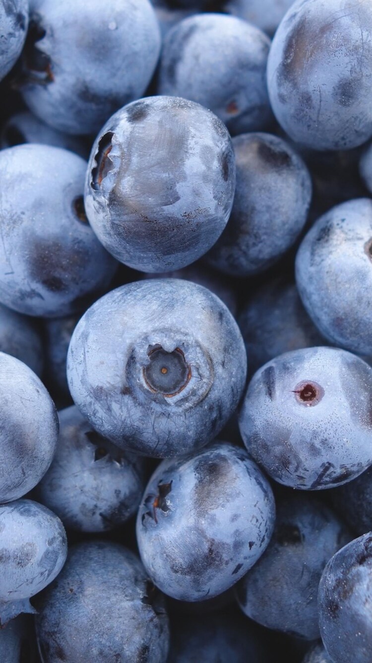 750x1334   Delicious Blueberry для вашего iPhone X от Everpix, черника HD Телефон Обои | Pxfuel
