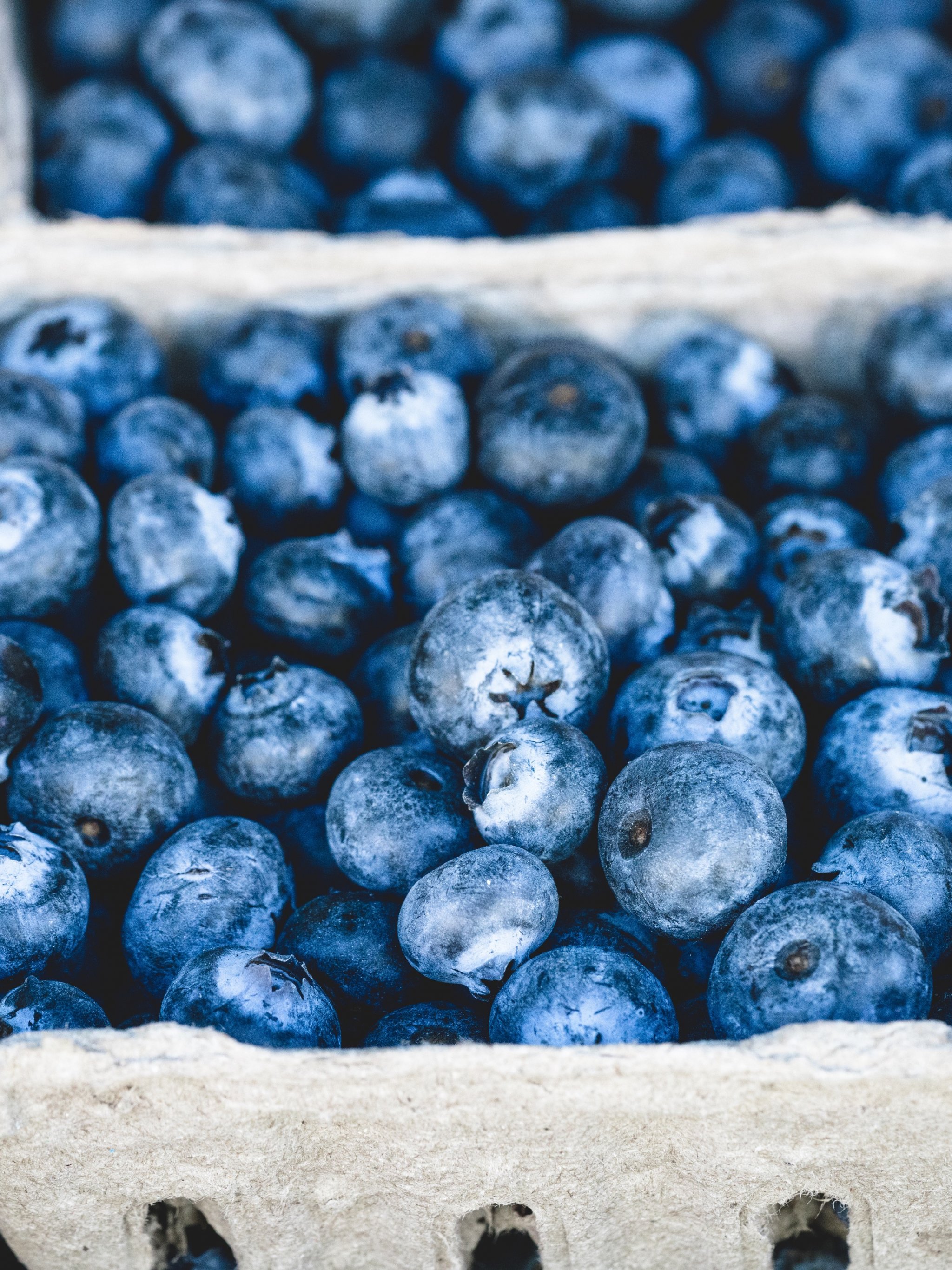 2048x2732  blueberries и клубника обои - обои, пещера 