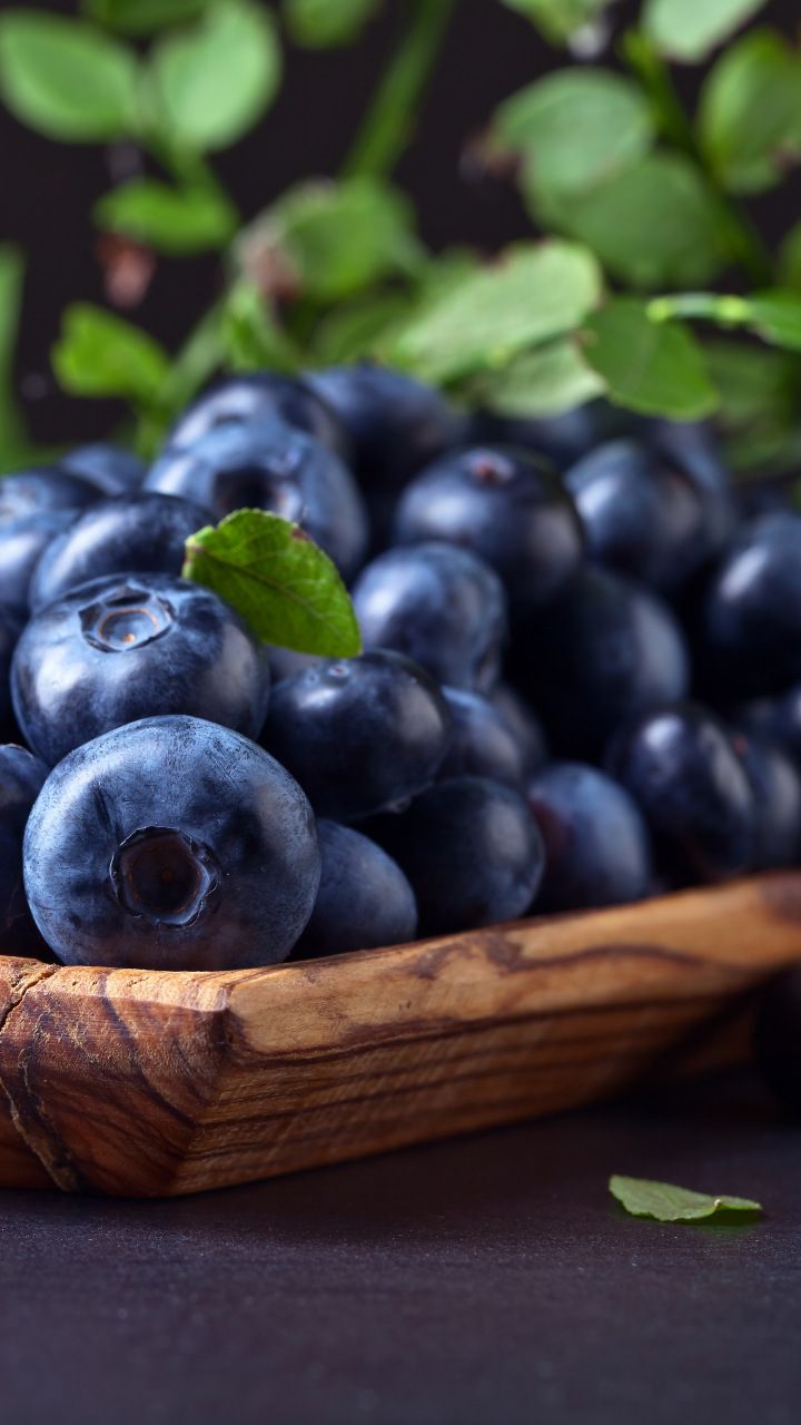 720x1280  download обои 1125x2436 Blueberry, фрукты, деревянные ложки, iPhone X, 1125x2436 HD Фон, 25868