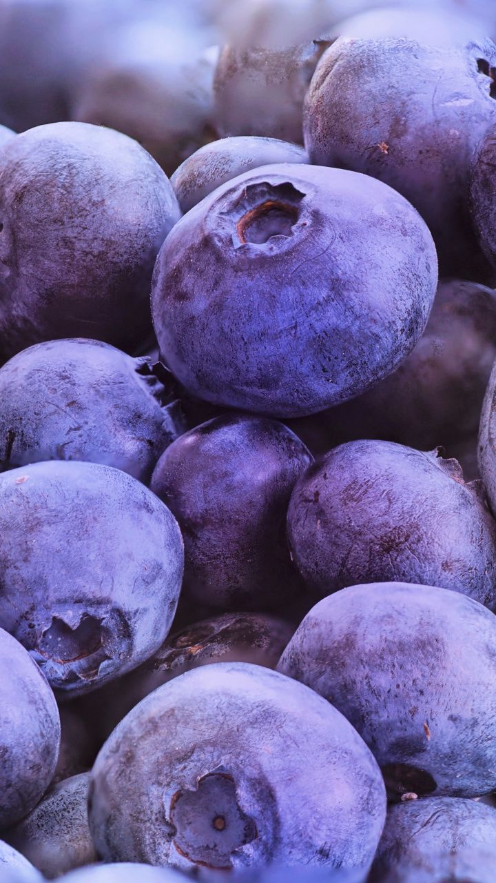 720x1280   Download обои 800x1200 Blueberry, ягода, зрелый, крупный iPhone 4S/4 для Parallax HD фоновой фон 