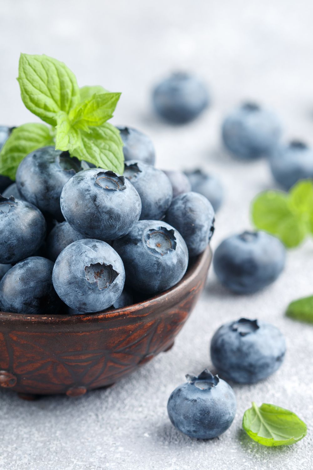 1000x1500  BLUEBERRY · Бесплатная стоковая фотография_720x1280 фрукты, черника, клубника, чаша, размытые обои | Фрукты, клубника, фруктовые обои 