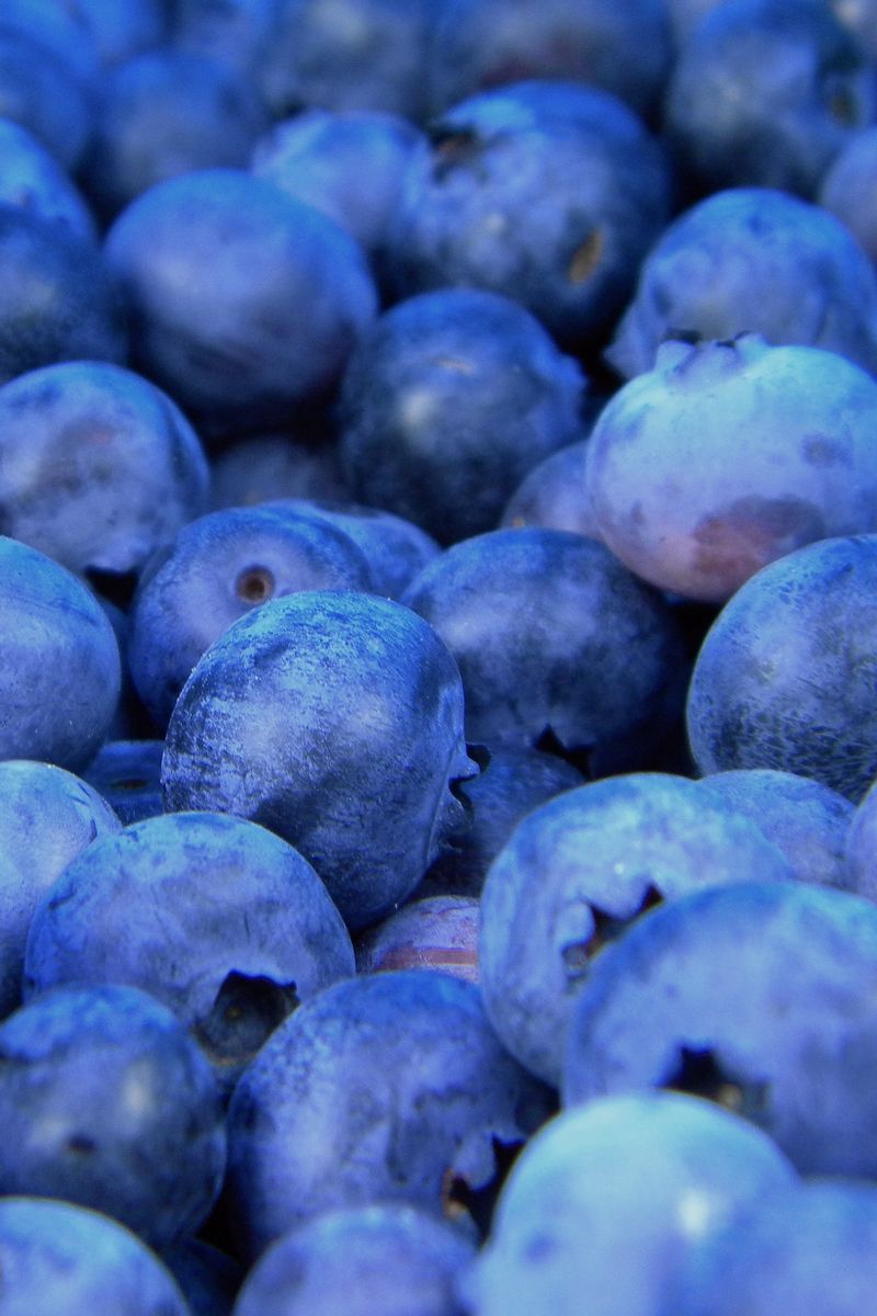 800x1200  download черника, фрукты, крупным планом, свежие обои, 1280x2120, iPhone 6 PlusСтр. 5 | Изображения Wet Blueberry - Скачать бесплатно на Freepik