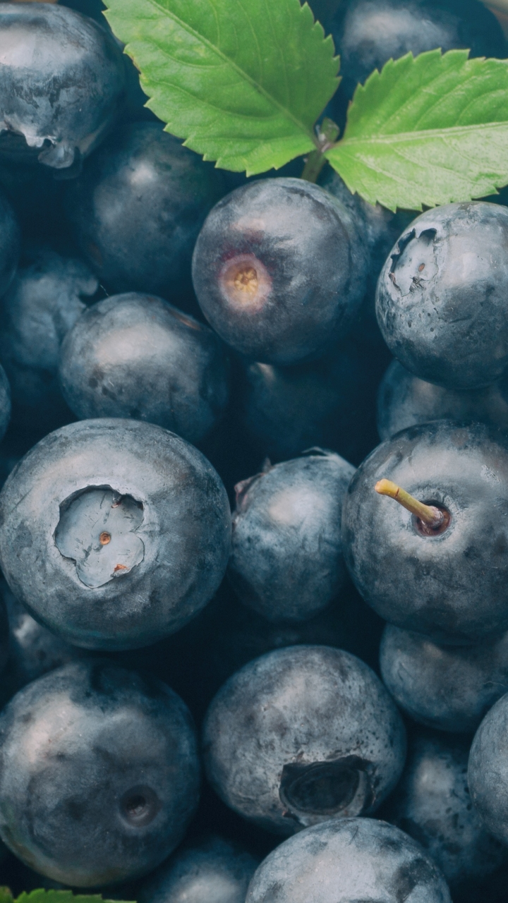 720x1280  BlueBerries iPhone обои - обои для iPhone: обои для iPhone. из черники - более здоровые шаги 