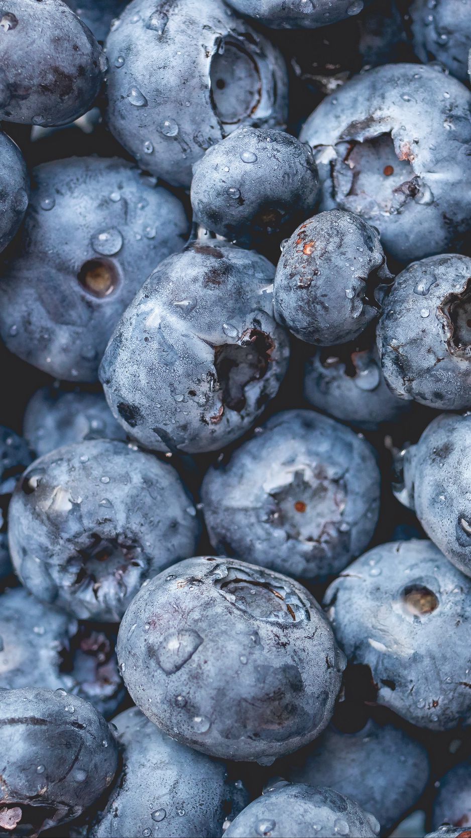 938x1668   Как заморозить историю черники - Jar of Lemons