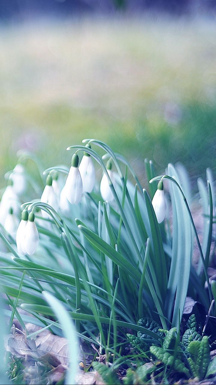 720x1280  download Hello March обои | Wallpapers.com 