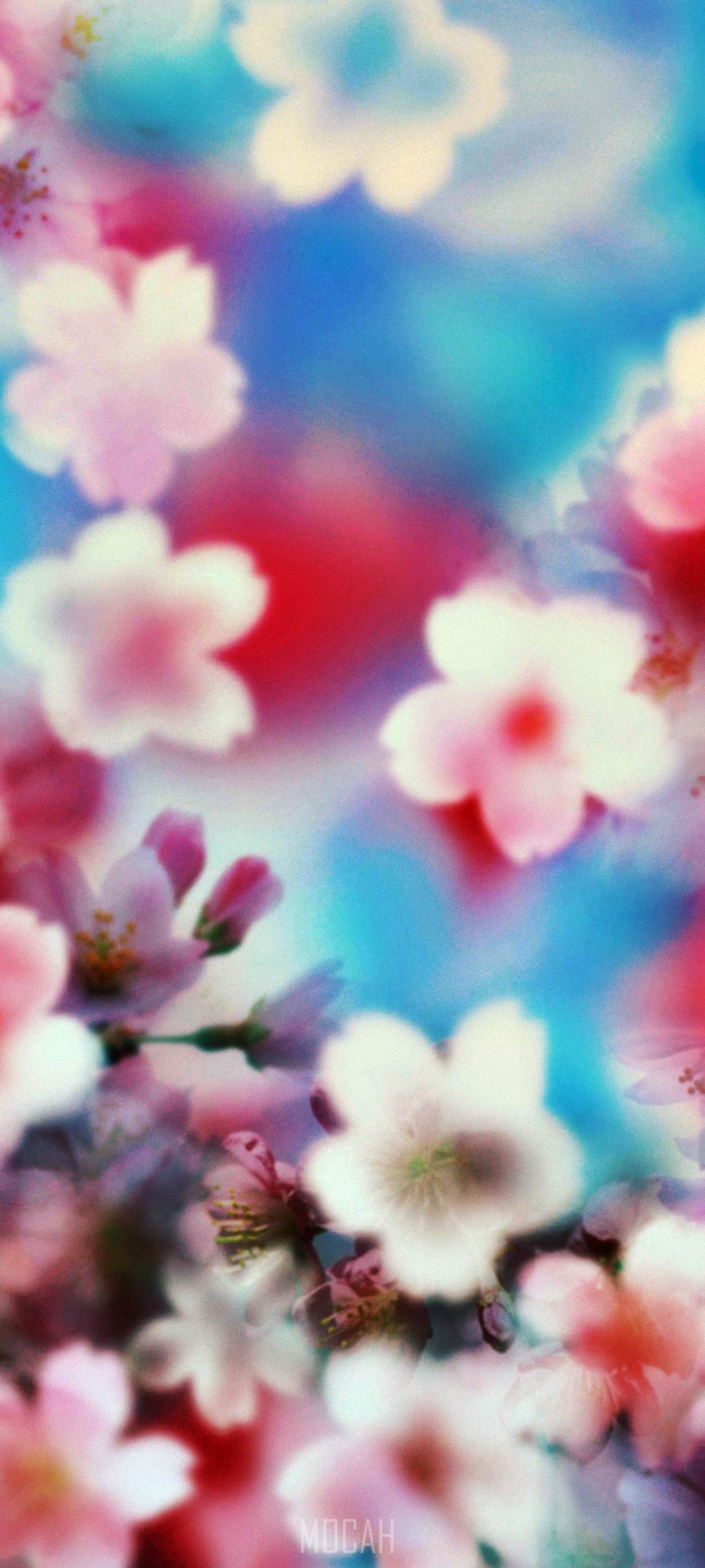 1080x2400   Colrods и Spring Florchs Best HD для ивид Dev iPhone 11 обои бесплатно скачать 