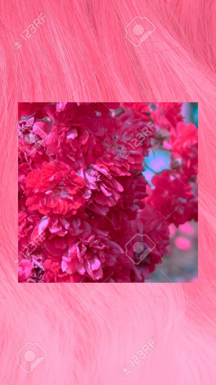 731x1300  pin от Erneststrauhal в случайном | IPhone Spring Wallpaper, вишневые обои, Spring Wallpaper