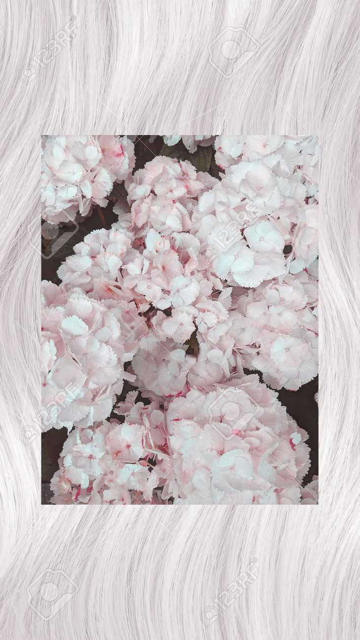 731x1300   Эстетическая весна опубликована Кристофером Каннингем, весенний эстетический iPhone HD Телефон Обои | PXFEULE