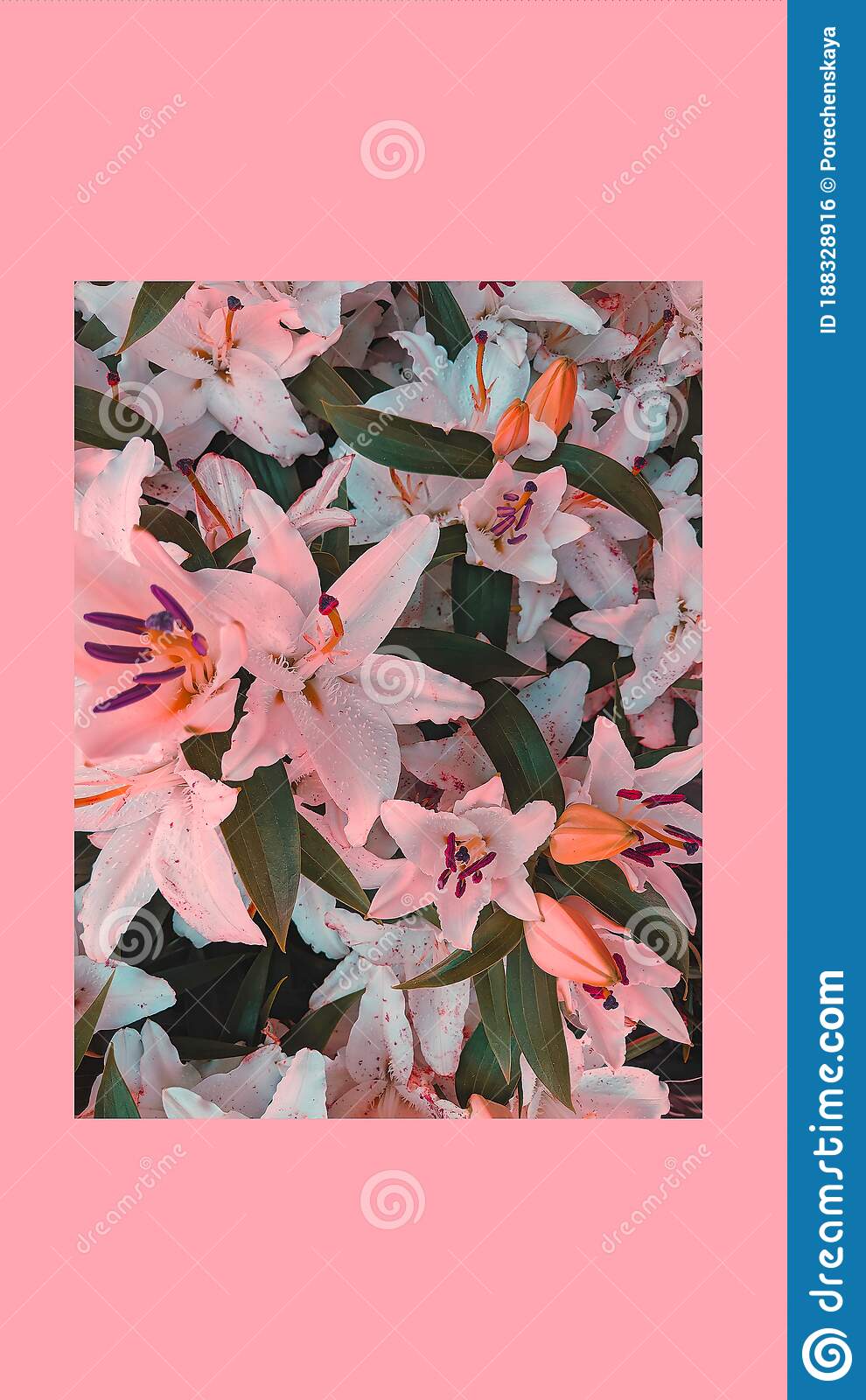 990x1600  Spring iPhone обои | Скачать фон мобильных телефонов высокого разрешения - Rawpixel