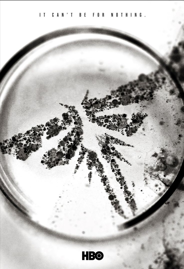 736x1074  euphoria (сериал 2019–) - Новости - Imdb