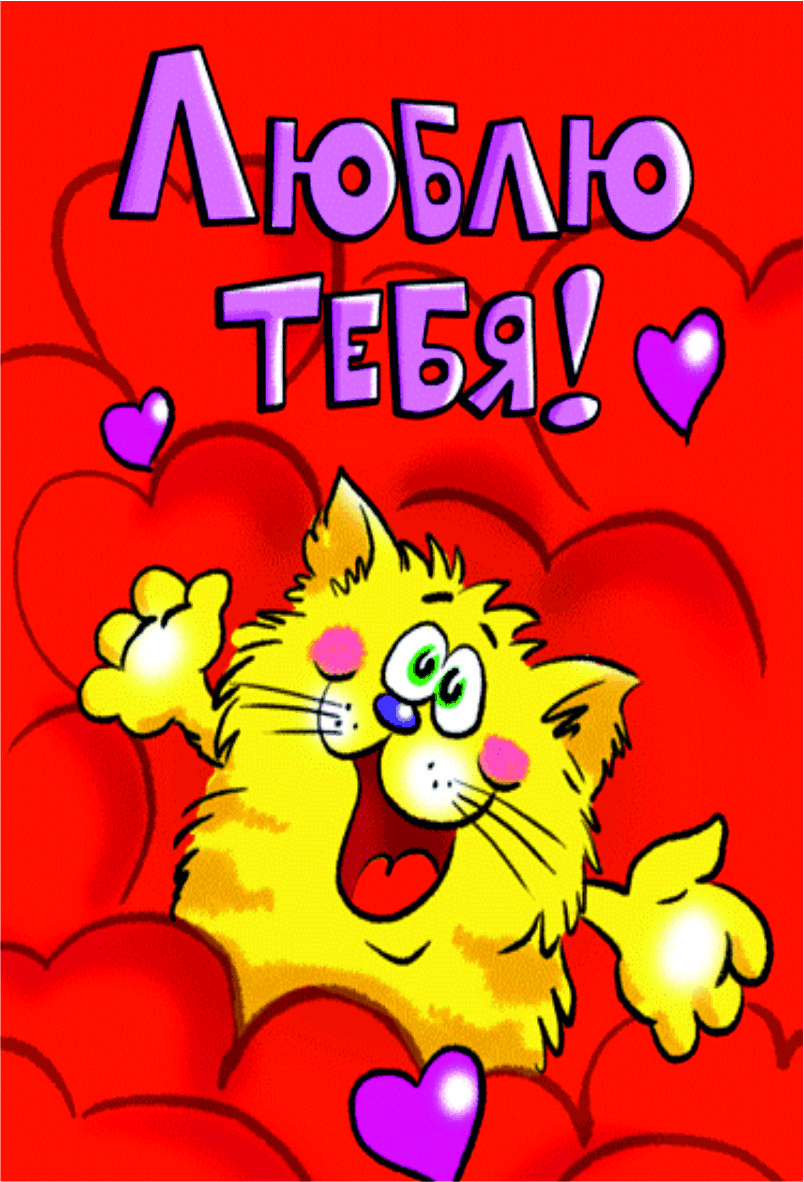 804x1182  🎈 Сет воздушных шаров 14 февраля 🎈: заказать в Москве с доставкой по цене  7753.37 рублей