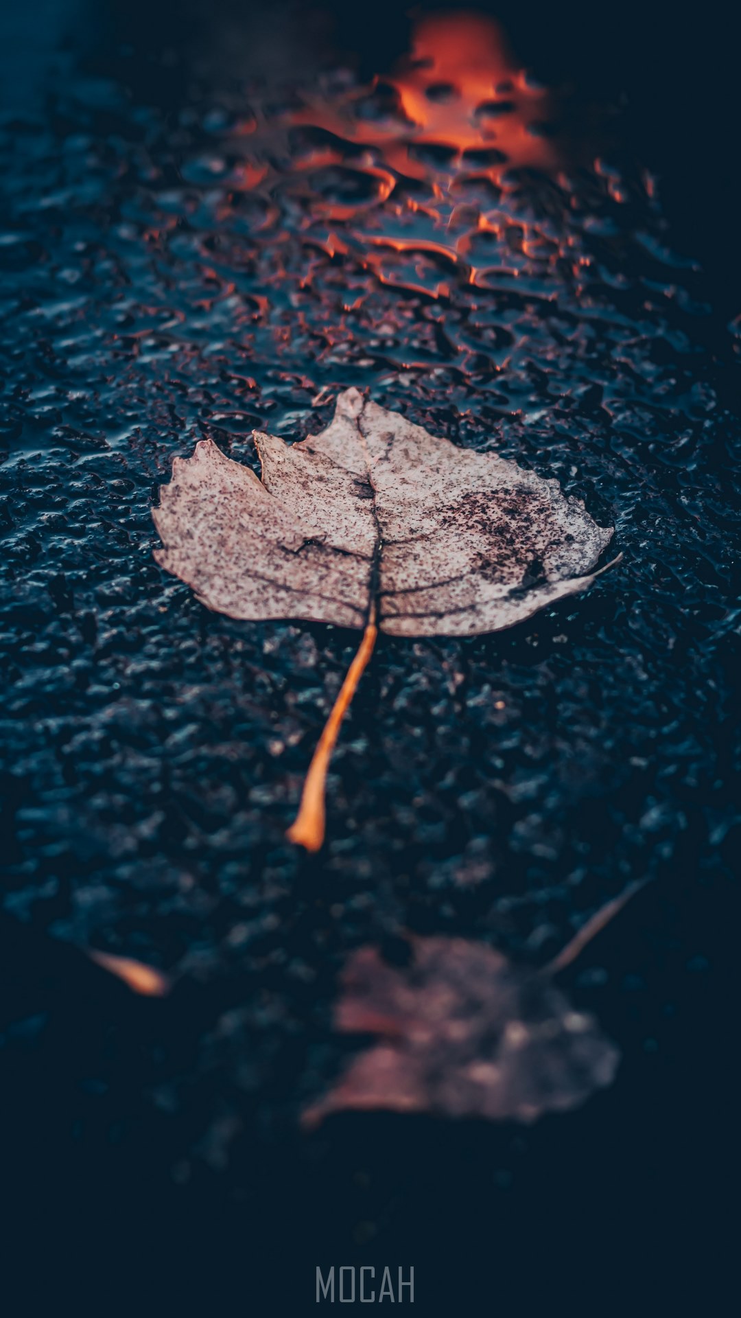 1080x1920   47+] HD Wallpapers For Mobile -Atlpapers -Atlpapers -Atlpapers -Atpapers -Watraper -III -III -II -III -II -II -II -II -II -II -II -II -II -IIIORPERPERS -II -II -II -II -II -II -II -II -lepper Обои 4K, Stock, iPados, Red, Abstract, #792 