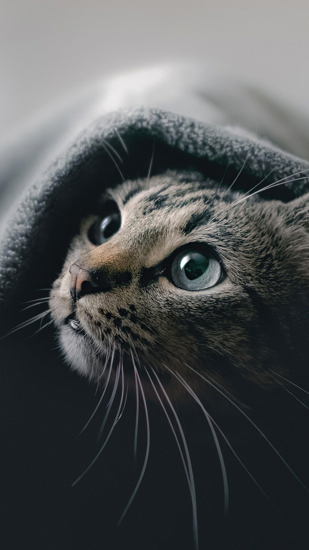 1080x1920  free Скачать Cool iPhone x обои HD 2022 Телефон Обои HD [1080x1920] для вашего рабочего стола, Mobile \ U0026 планшет | Исследуйте 34+ Cool HD Телефон Обои | Cool Windows Phone обои, Cool Wallpapers