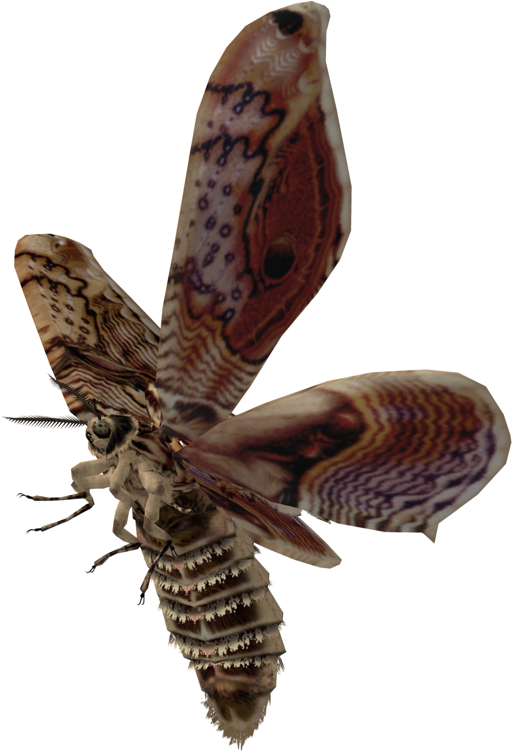 1019x1496   Мотыльки и фон HD обои | Pxfuel