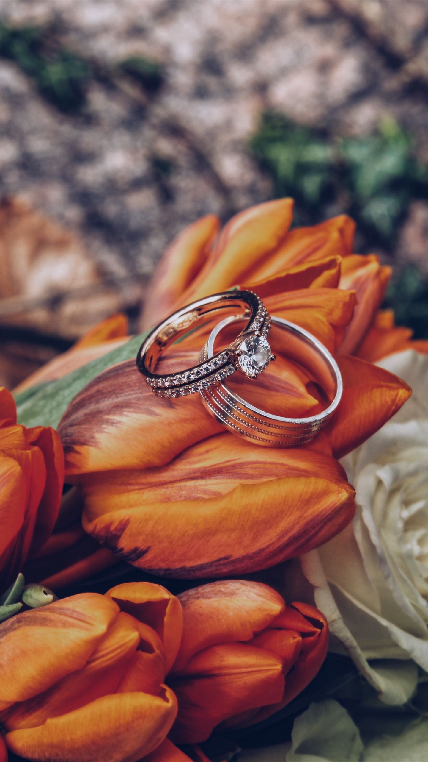 1440x2560  wedding обои - топ 35 лучших свадебных обоев Скачать 