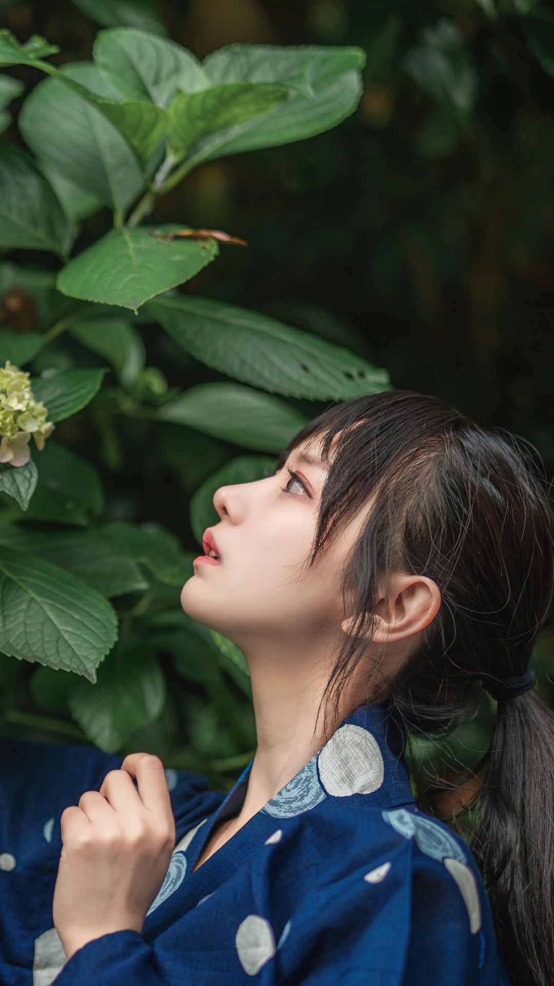 1080x1920   1390060 Азиатский, японский, девочки, кимоно-редкая галерея HD обои 