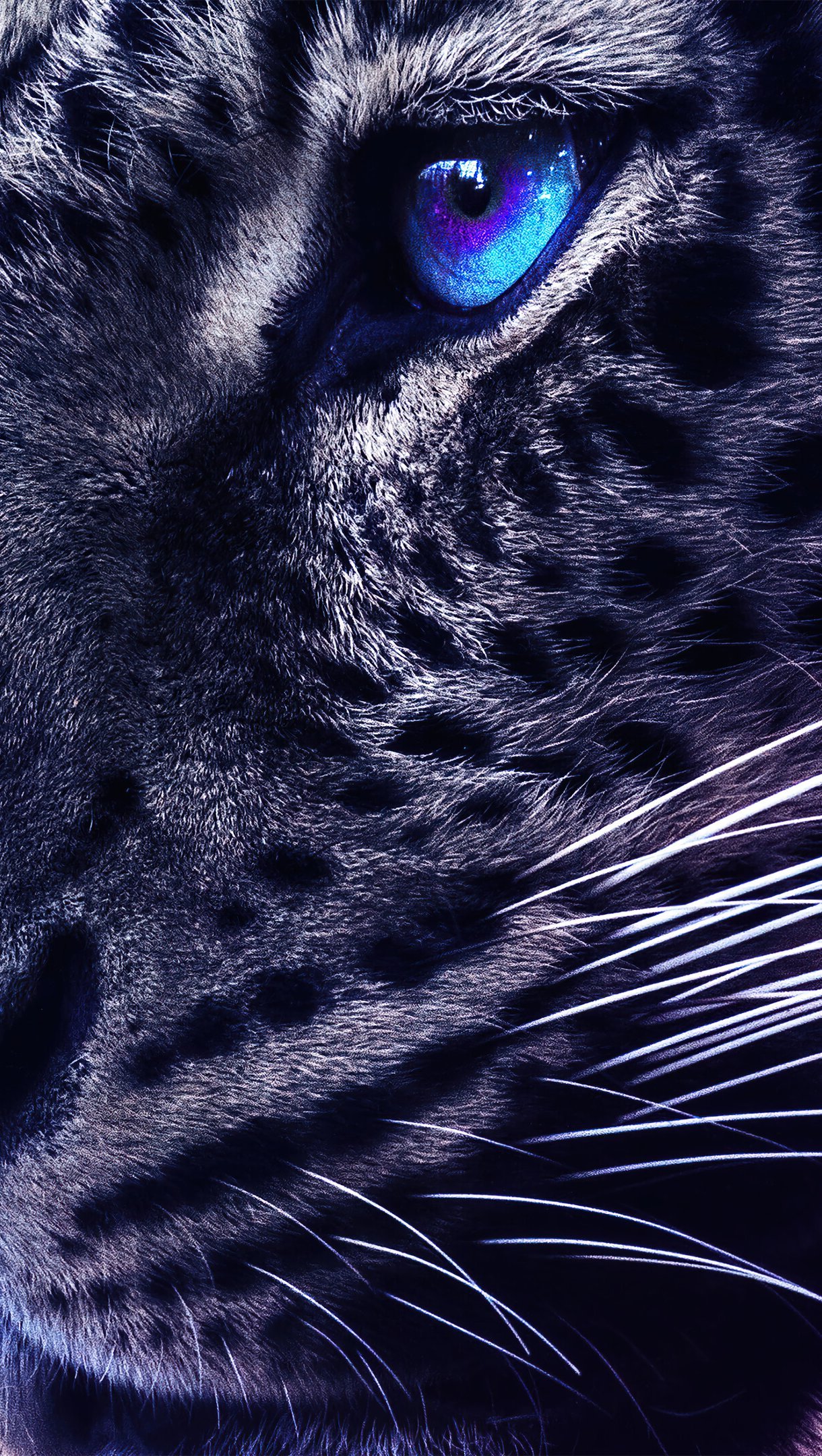 1220x2160   Best Blue Eye iPhone 8 HD обои - ilikewallpaper