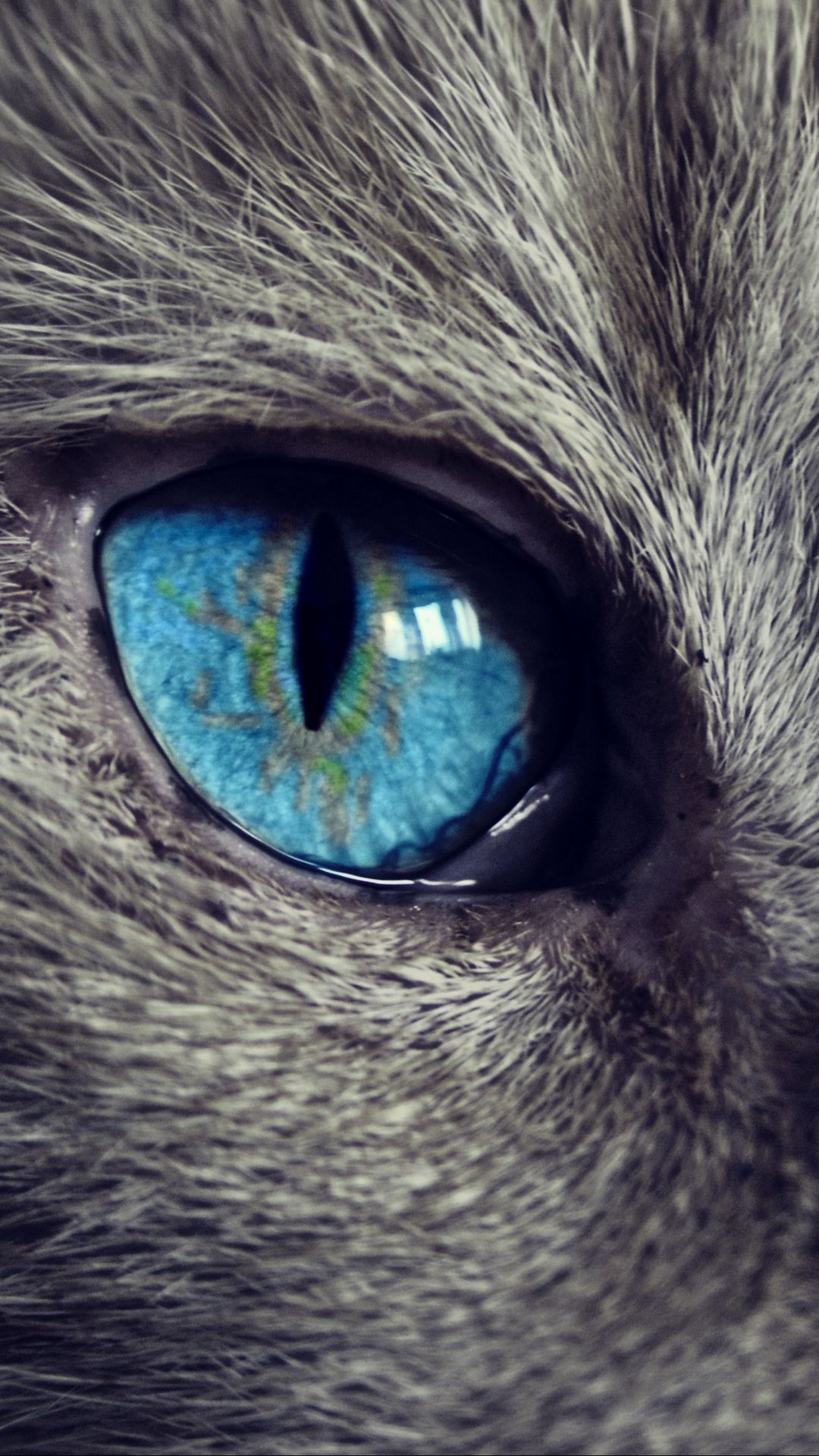 1080x1920  1080x2636 Creepy Blue Eye 1080x2636 Резолюция обои, HD Artist 4K обои, изображения, фотографии и фон - обои Den