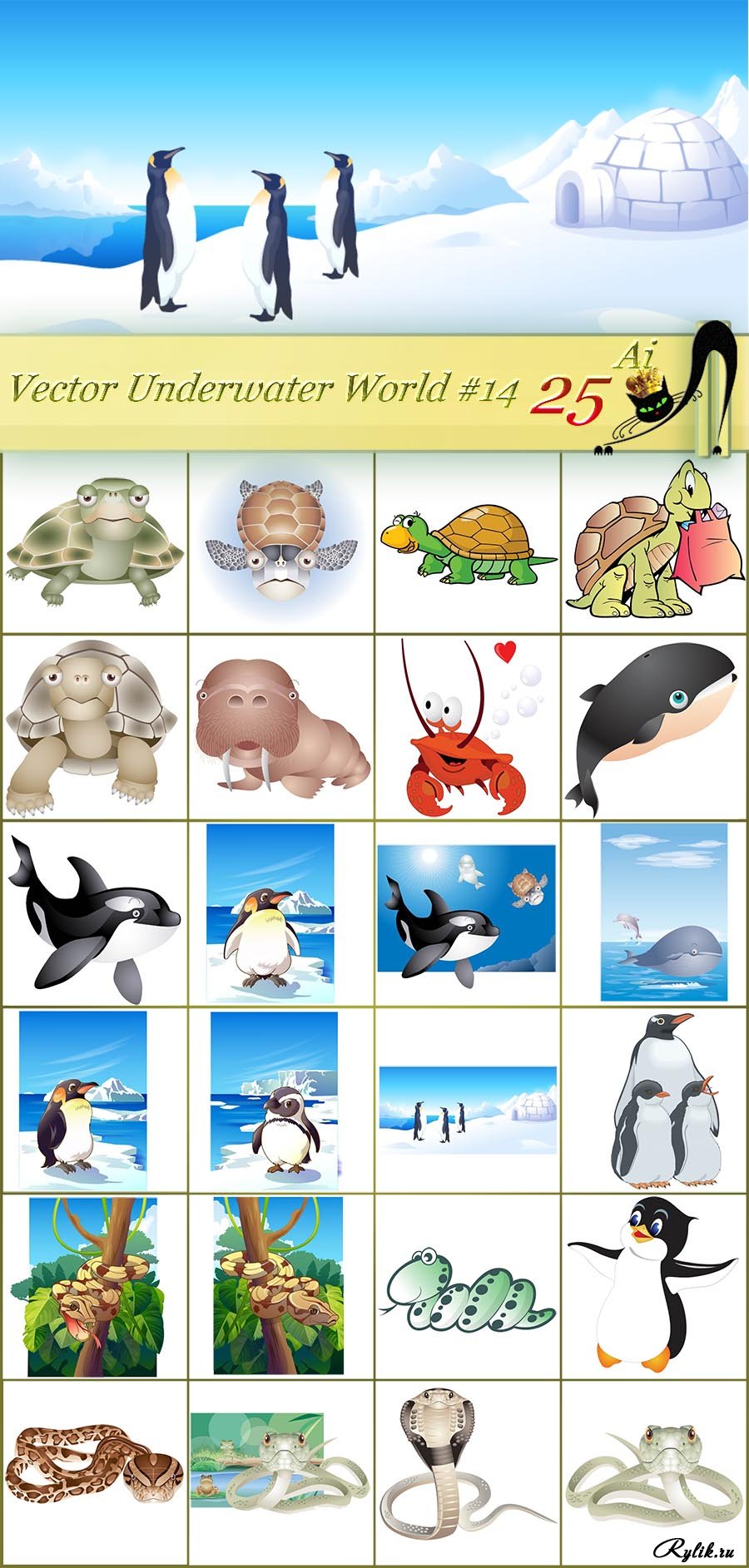 900x1885  World Festival of Underwater Image \"Underwater world\"